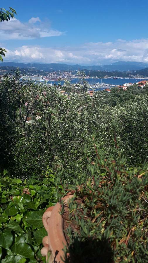 Villa Federici La Spezia Exterior photo